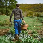 Agri Valle Libera Ficulle