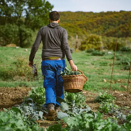 Agri Valle Libera Ficulle