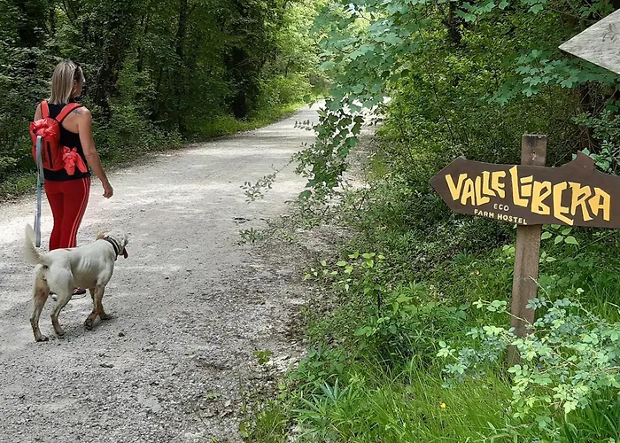 Agri Valle Libera Ficulle