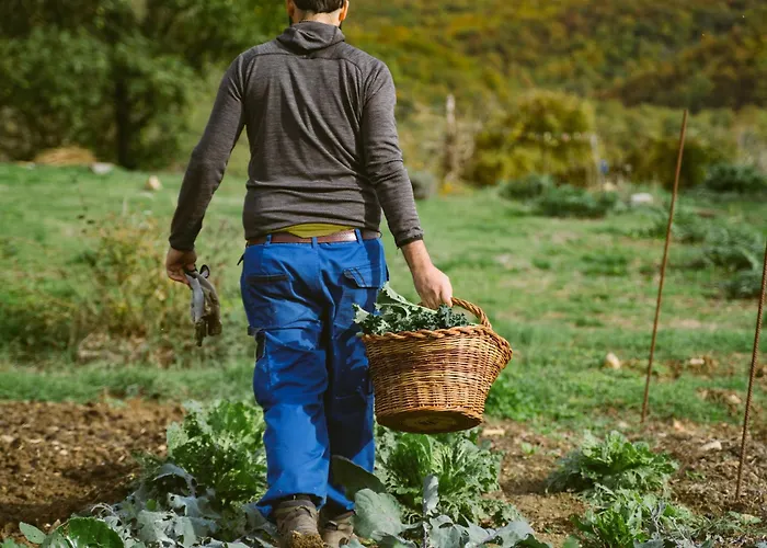 Agri Valle Libera Ficulle